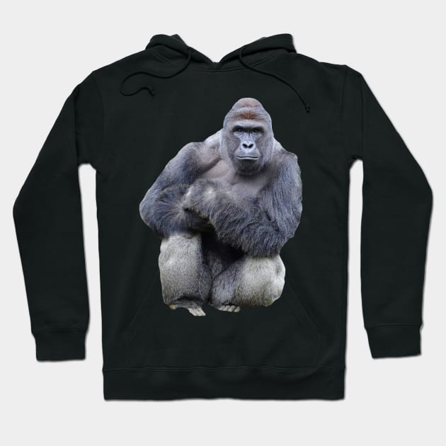 Harambe Hoodie by FlashmanBiscuit